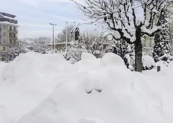 Huette Raphael By Interhome שאמוני